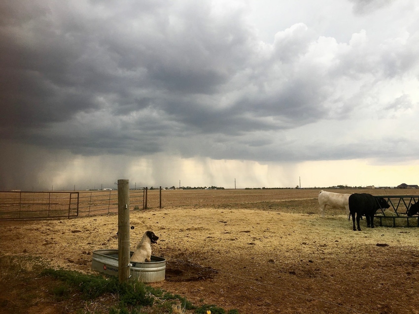 Last call for “Quiet moments on the ranch” photos