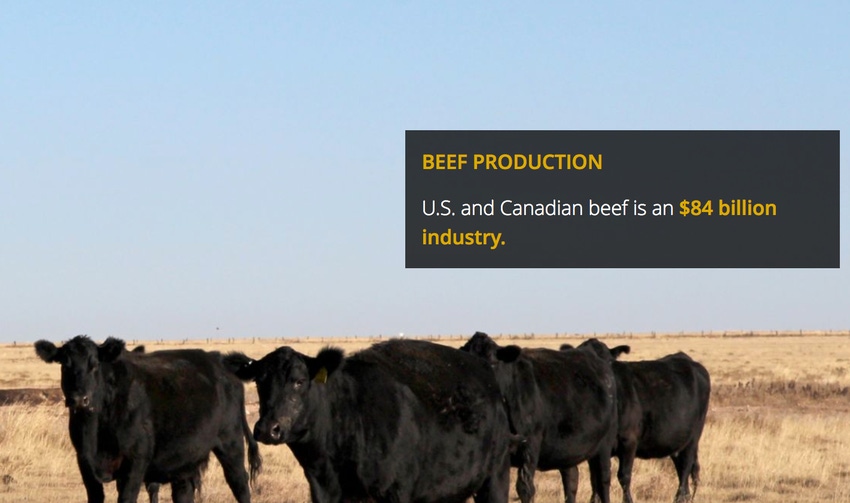 Check out Cargill’s new interactive beef guide