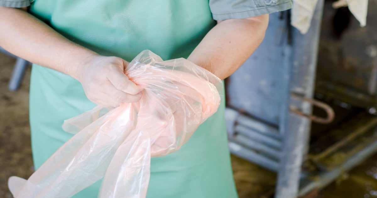 Be Prepared to Assist During Calving: Part 1