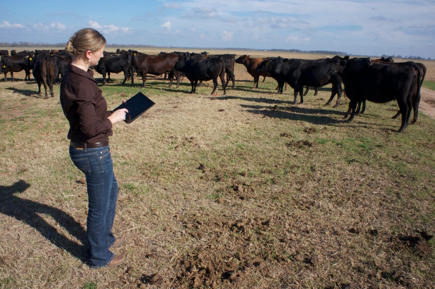 3 steps to prepare for tighter margins 3 steps to prepare for tighter margins