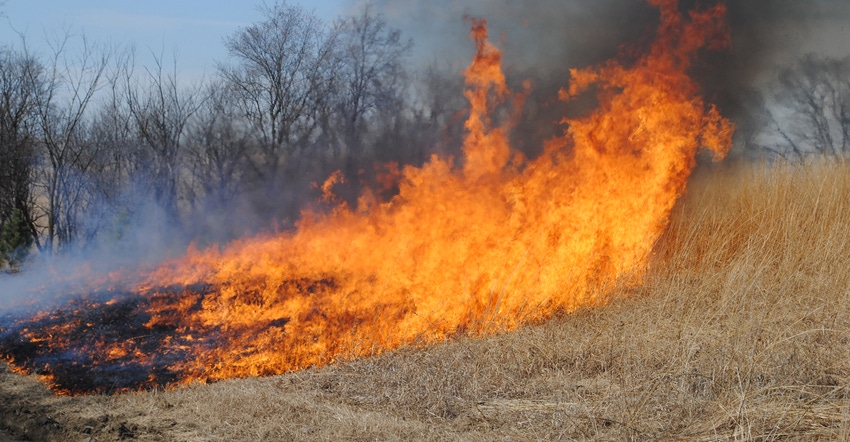 Controlled burn in field