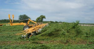Tedder talks: what you need to know about hay tedding