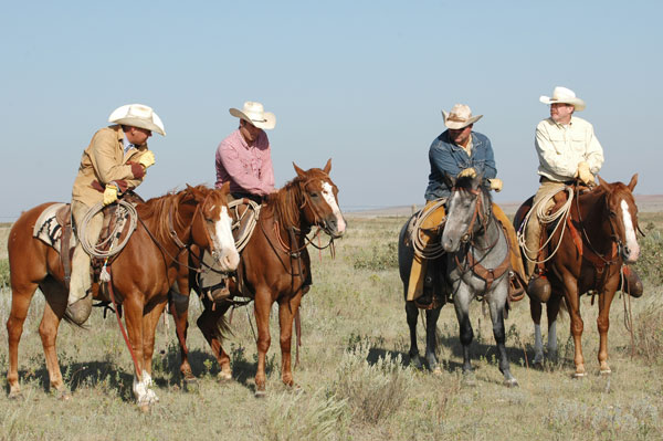 Working cattle on horseback
