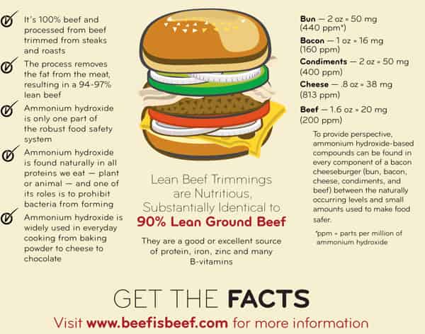 What Is Lean Finely Textured Beef?