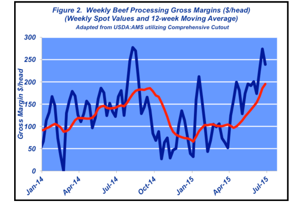 weekly beef processing
