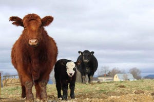 Three-Generations-by-Courtney-Tarvin_0.jpg Three-Generations-by-Courtney-Tarvin_0.jpg