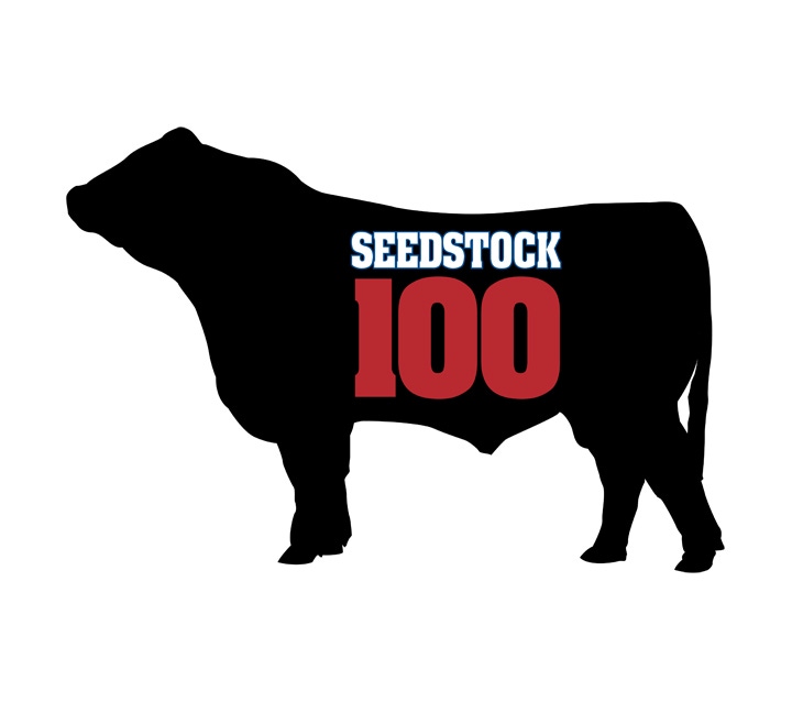 BEEF Seedstock 100: The big get bigger