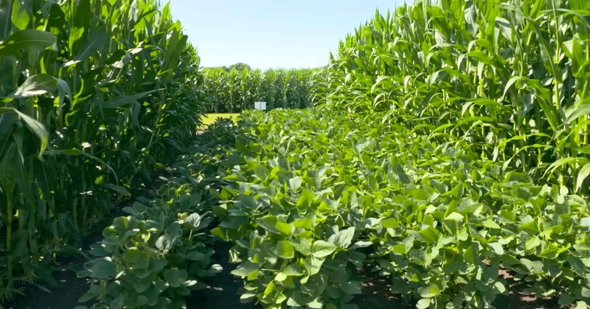 This Week in Agribusiness, July 18, 2026