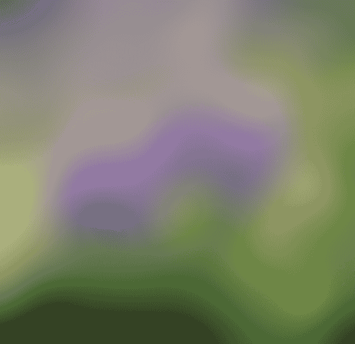 Lupine-002_0.png
