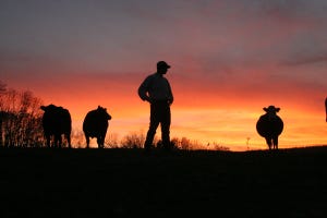 When a rancher grows older, wiser