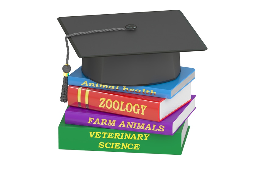 Veterinary scholarships awarded nationwide