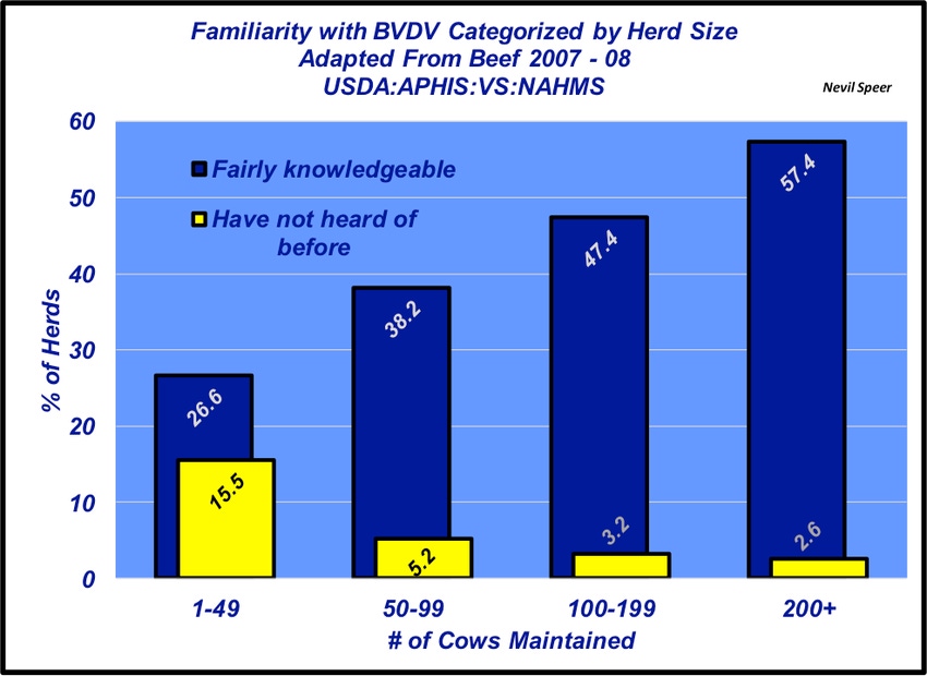 Are you familiar with BVD?