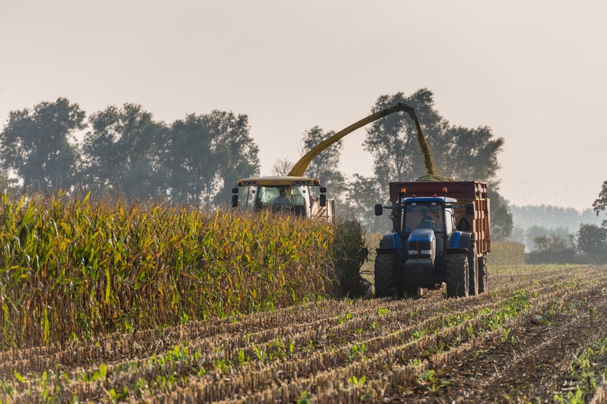 Managing silage from late-planted corn