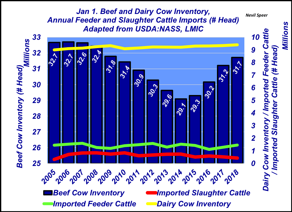 Cow Hs Code Beef and dairy cow inventory vs feeder cattle imports
