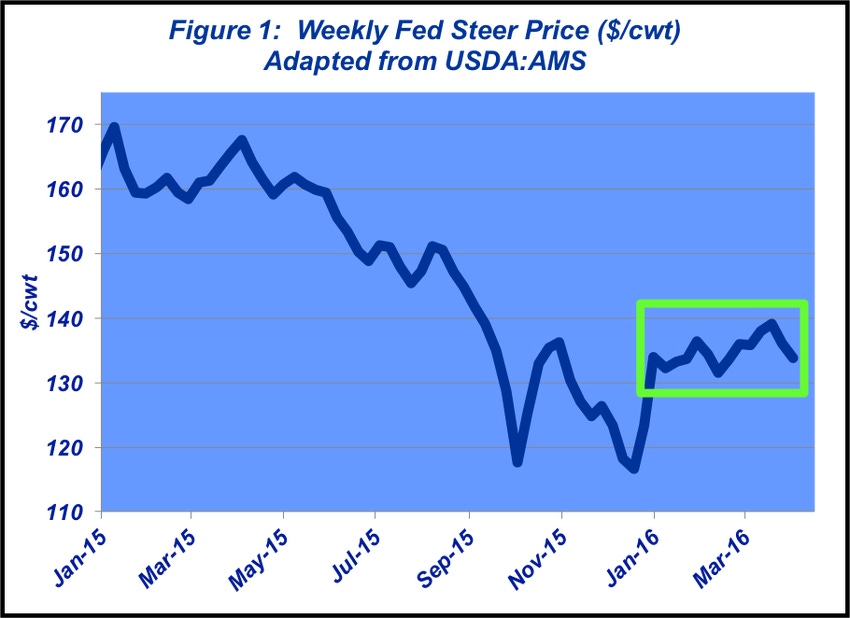 March madness: Cattle market continues to keep beef producers confused