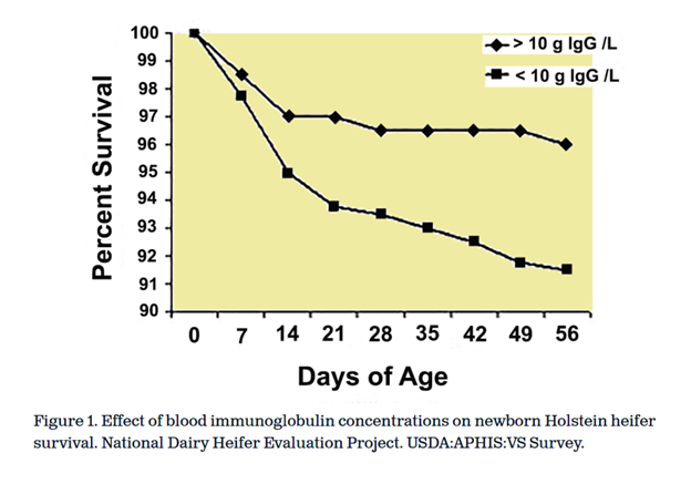Colostrum_graph_SDSU_graph.png