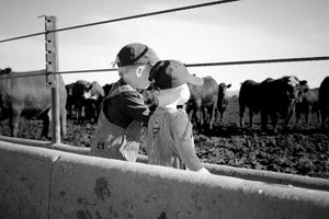 For the love of land & livestock photo finalists
