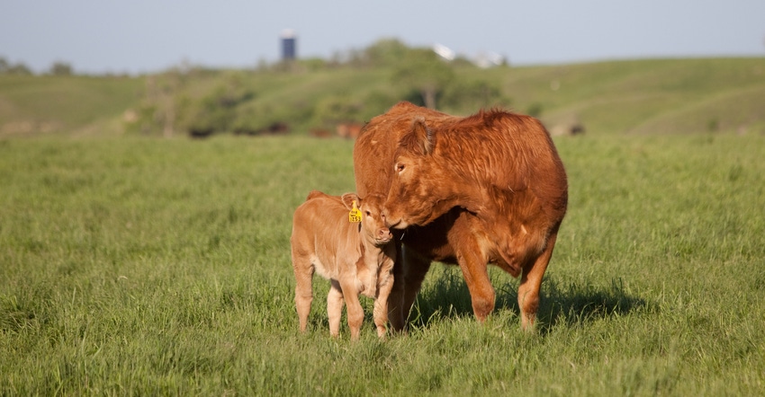 Protect herd health through proper administration of killed reproductive vaccines Protect herd health through proper administration of killed reproductive vaccines