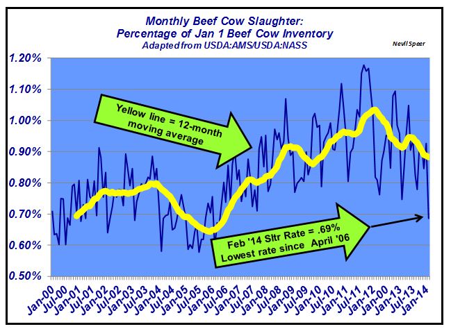 Industry At A Glance: Monthly Beef Cow Slaughter Continues To Drop