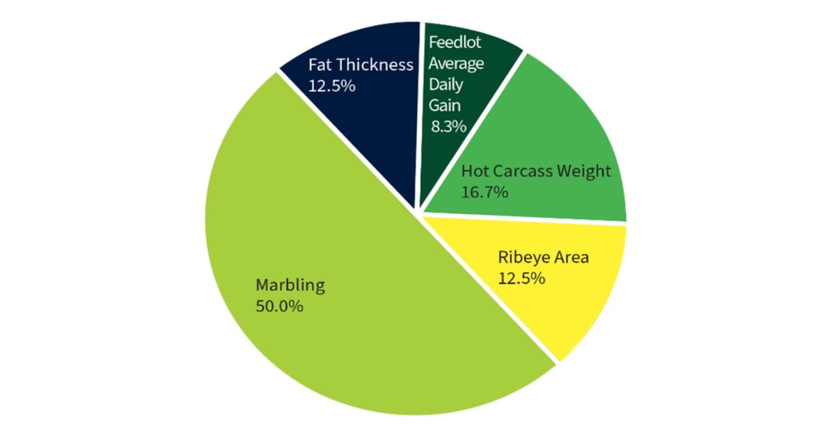 Neogen debuts genomic test for Wagyu cattle