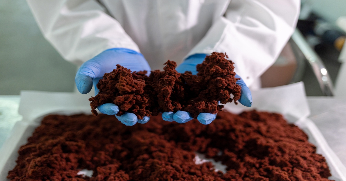 UPL, CH4 Global partner on methane-reducing cattle supplement