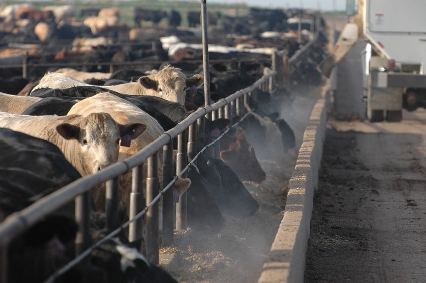 USDA begins contacting feedlots in May for study
