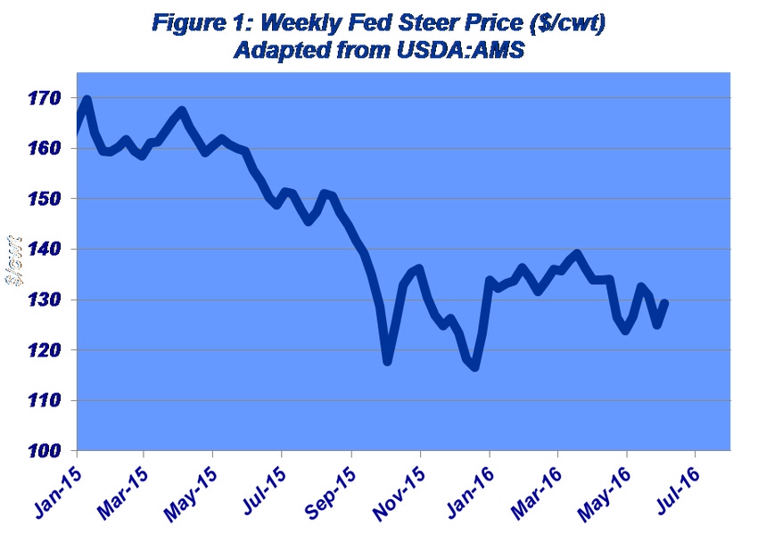 Monthly Market Profile: May market showed signs of life on strength of wholesale market