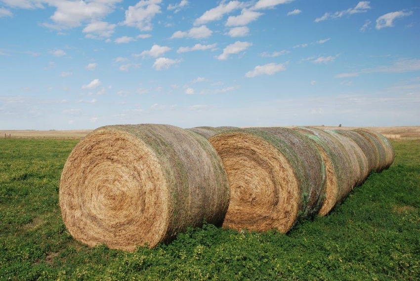 Hay & forage growers anxiously await Mother Nature’s spring play