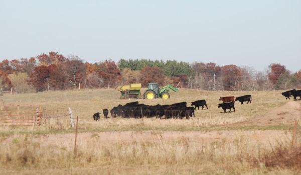 Watch Your Tire Feeders & 10 More Management Tips Watch Your Tire Feeders & 10 More Management Tips