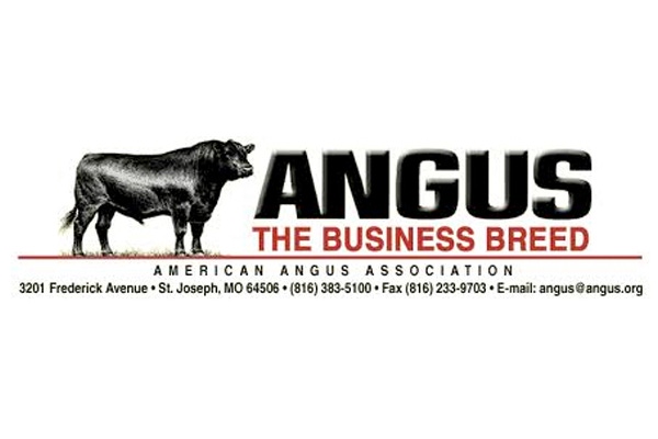 The Demise Of The American Angus Association Is Overstated