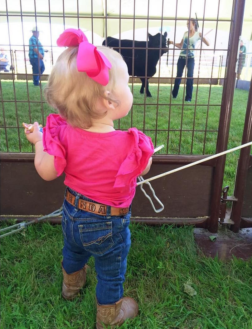 Are county fairs valuable experiences for kids? PLUS: 5 great fair time blogs