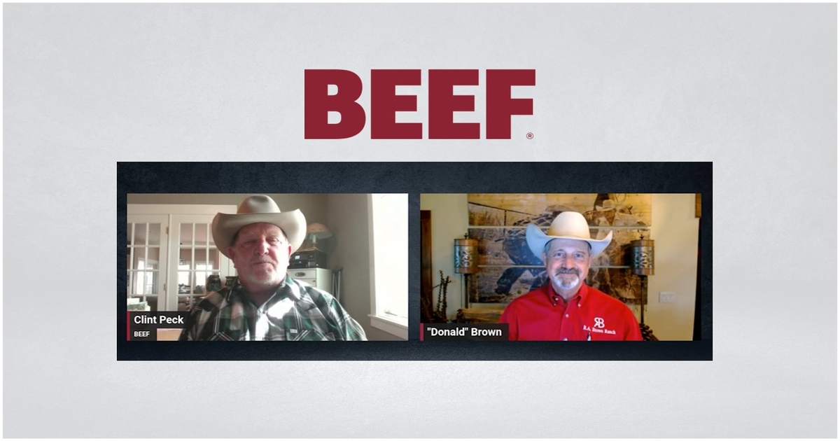 New World Screwworm threat is real for ranchers