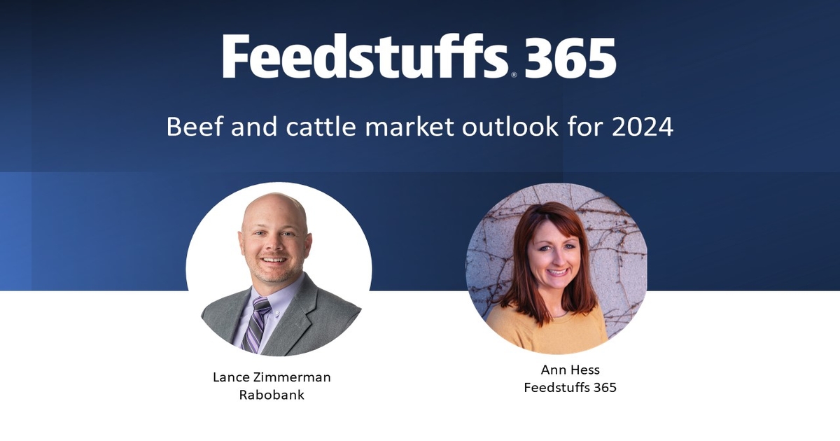 Beef and cattle market outlook for 2024