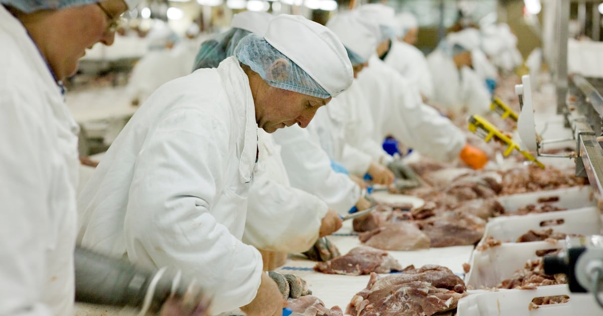 Structural adjustments continue in packing sector