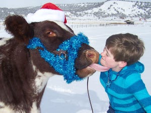 10 Best Christmas On The Ranch Photos