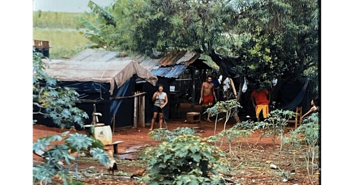 An agrarian experience in Venezuela