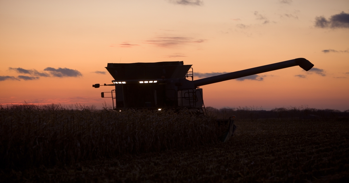 Farmer sentiment in October rebounds ahead of the U.S. election