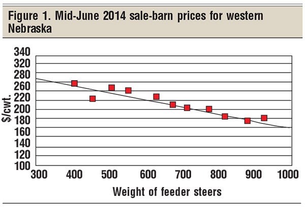 mid-june 2014 sale barn prices