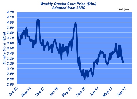What’s next for the corn market?