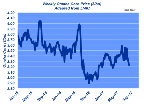 What’s next for the corn market? What’s next for the corn market?