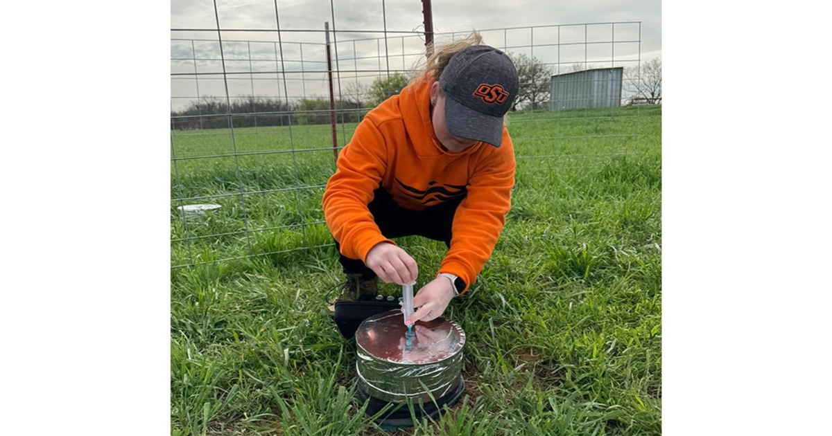 Rethinking beef’s water and carbon footprint