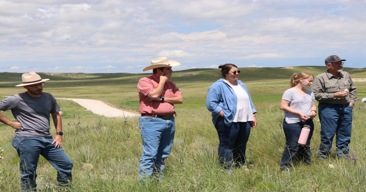 Annual Summer Stocker/Yearling Tour focuses on marketing yearling cattle