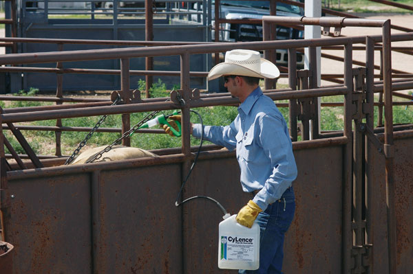 Timing Is All-Important For An Effective Parasite Control Program