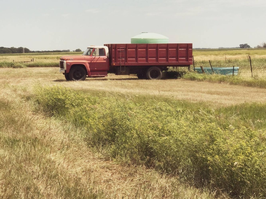 Drought conditions worsen in the Dakotas