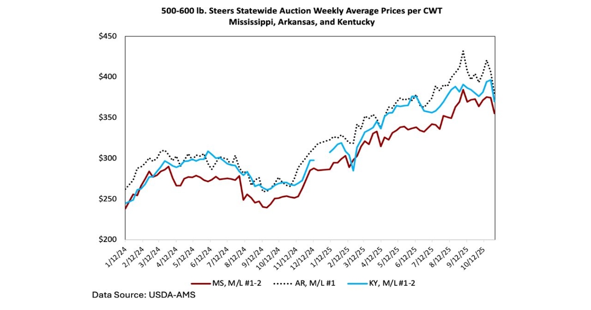 Cattle auction prices react to futures market volatility