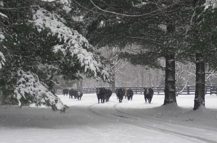 Top 10 Winter Wonderland On The Ranch Photos Top 10 Winter Wonderland On The Ranch Photos