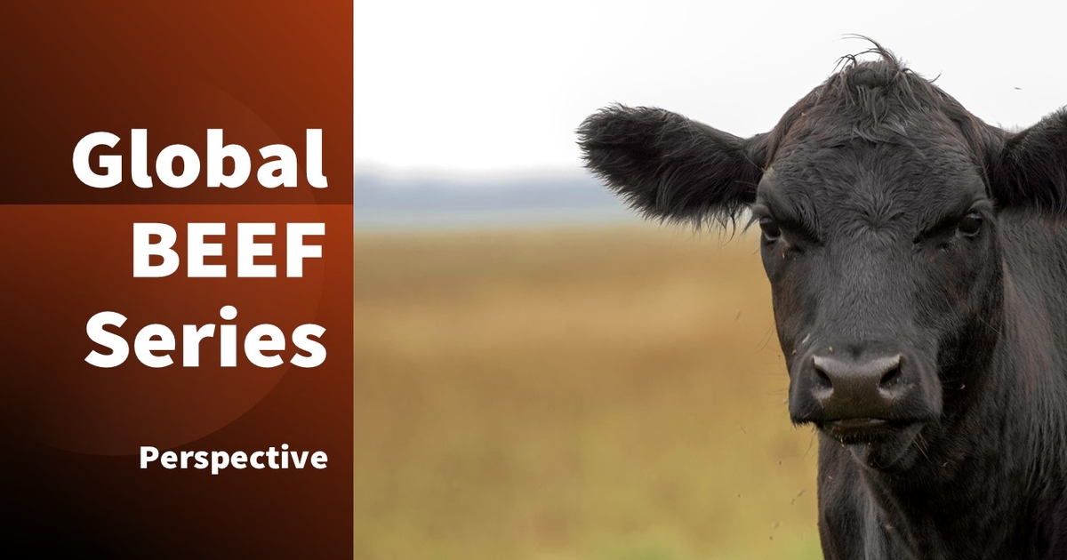 Global BEEF Series: Leveling the playing field on quality beef