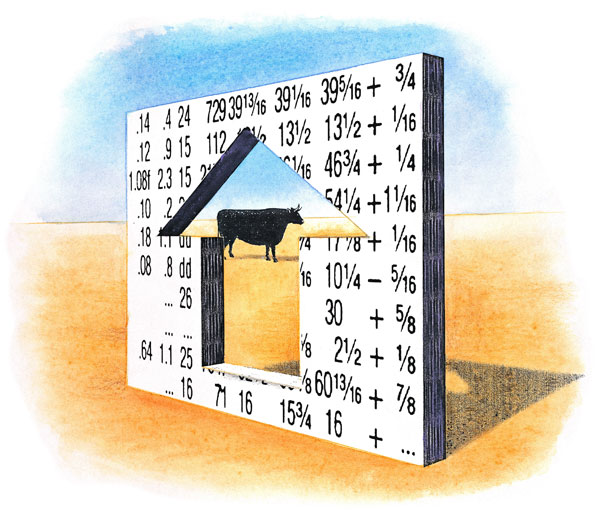 Cattle Market Fundamentals Point Up And Down