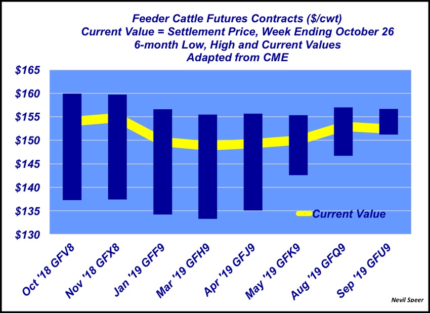 Don’t overlook pricing opportunities in this fall Feeder Cattle futures