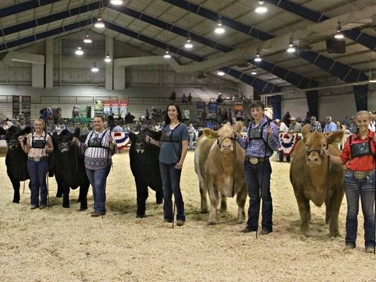 Tennessee cattlemen donate beef to food banks Tennessee cattlemen donate beef to food banks
